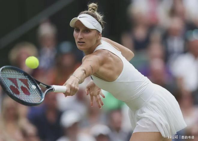 多米尼克 多米尼克