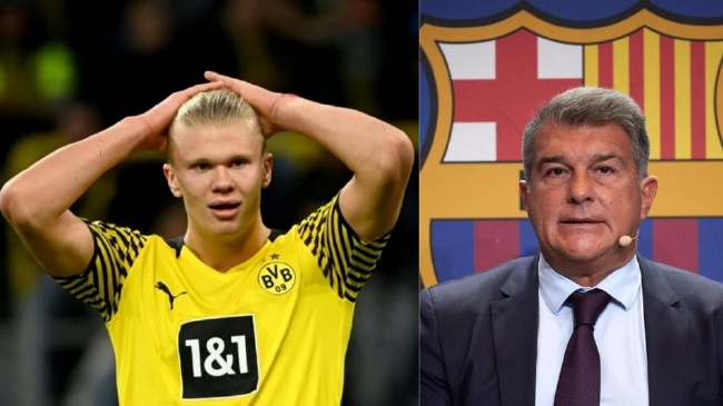 尼克斯的 尼克斯的